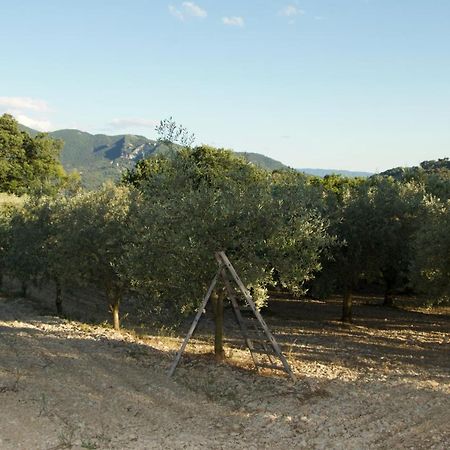 Mas Provencal La Serallere Au Coeur Des Oliviers Venterol  Exterior foto