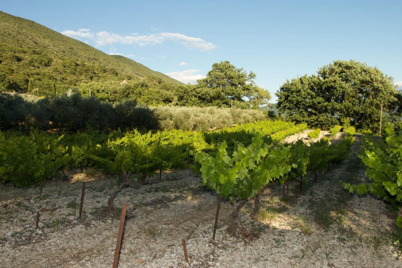 Mas Provencal La Serallere Au Coeur Des Oliviers Venterol  Exterior foto